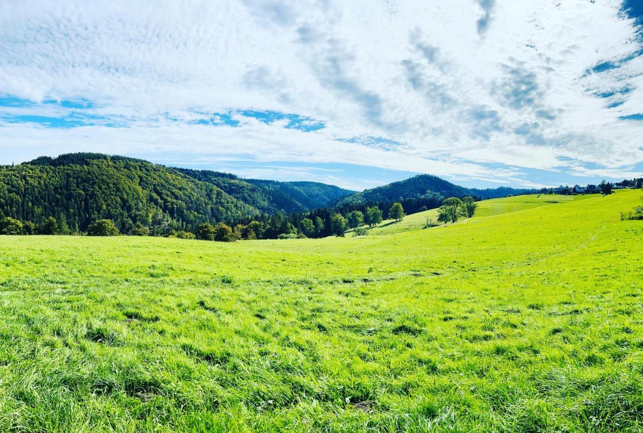 Ferienhaus Doina Gehlberg Luaran gambar