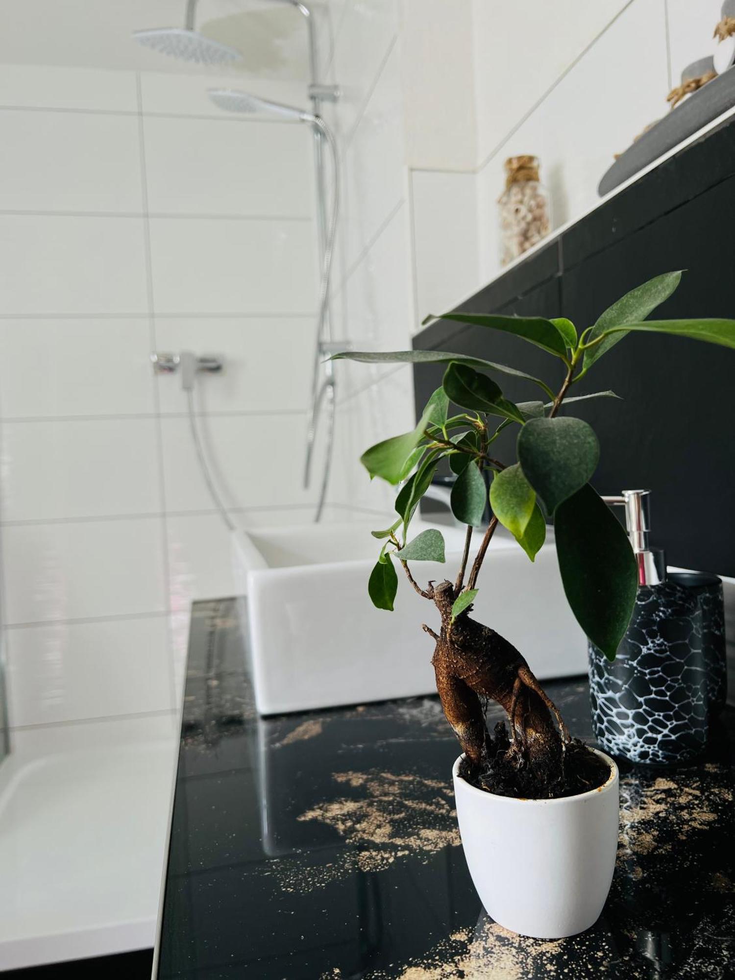 Ferienhaus Doina Gehlberg Luaran gambar